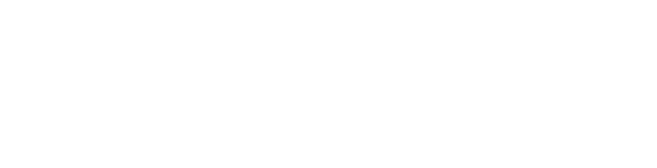 MegawattFiber Logo